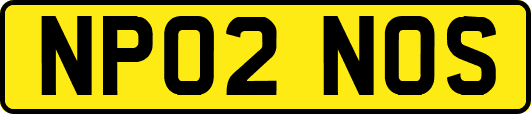 NP02NOS