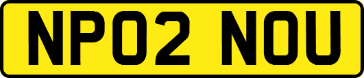 NP02NOU