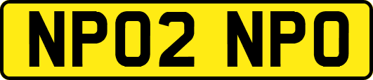 NP02NPO