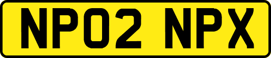 NP02NPX