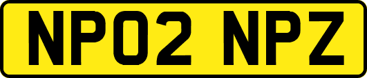 NP02NPZ