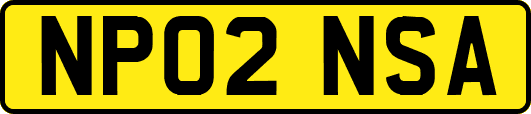 NP02NSA