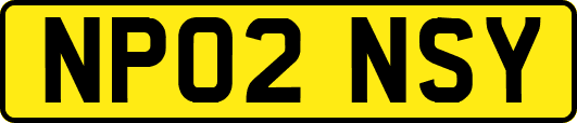 NP02NSY