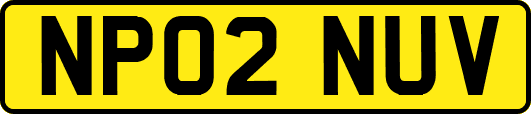 NP02NUV