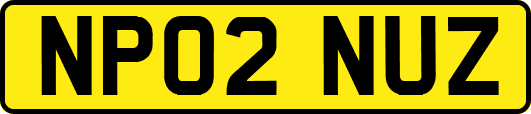 NP02NUZ