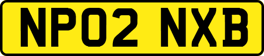 NP02NXB