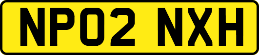 NP02NXH