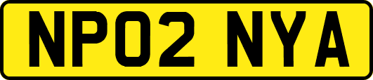 NP02NYA