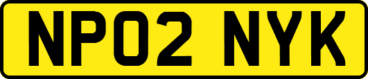 NP02NYK