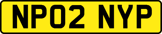 NP02NYP