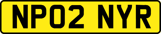 NP02NYR