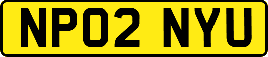 NP02NYU
