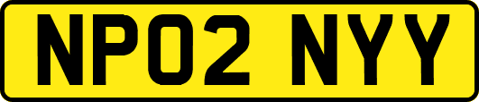 NP02NYY