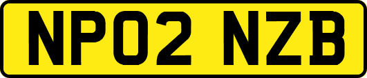NP02NZB