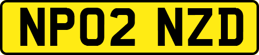 NP02NZD