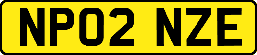 NP02NZE