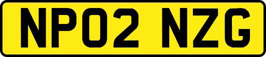 NP02NZG