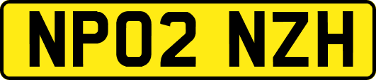 NP02NZH