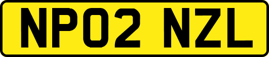 NP02NZL