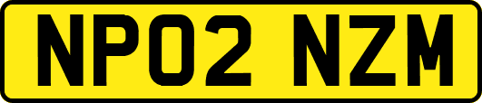 NP02NZM