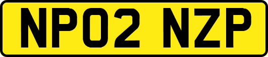 NP02NZP
