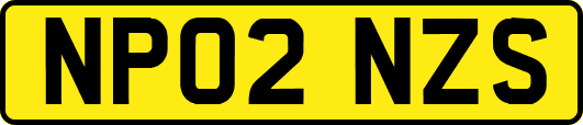 NP02NZS