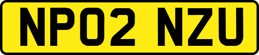 NP02NZU