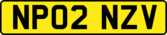 NP02NZV