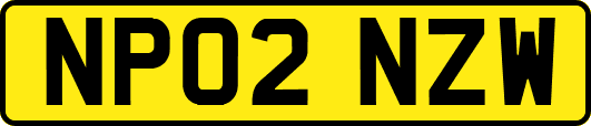 NP02NZW
