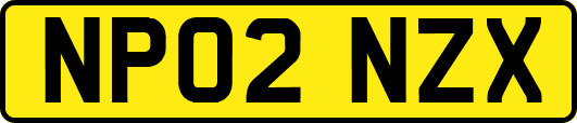 NP02NZX