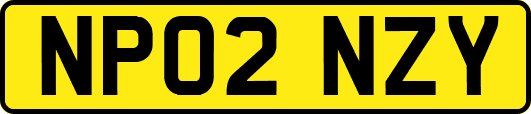 NP02NZY