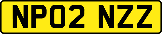NP02NZZ