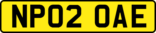 NP02OAE