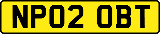 NP02OBT