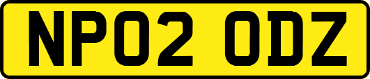 NP02ODZ