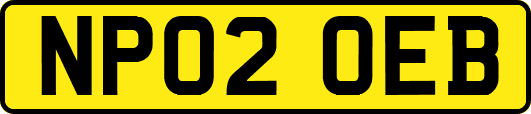 NP02OEB