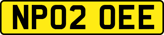 NP02OEE