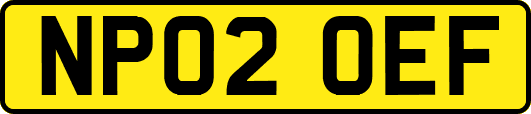 NP02OEF