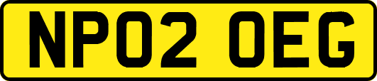 NP02OEG