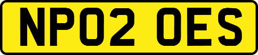NP02OES