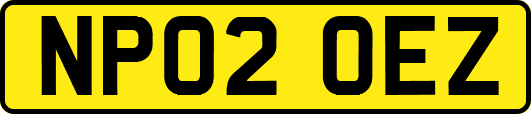 NP02OEZ
