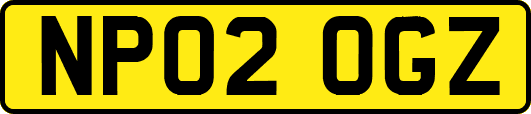 NP02OGZ