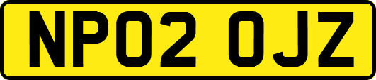 NP02OJZ