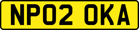 NP02OKA