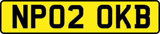 NP02OKB