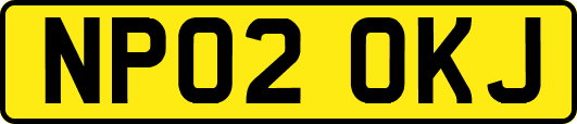 NP02OKJ