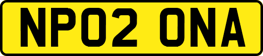 NP02ONA