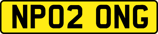 NP02ONG