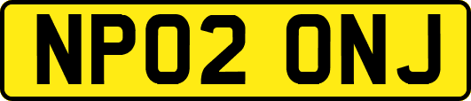 NP02ONJ