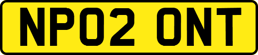 NP02ONT